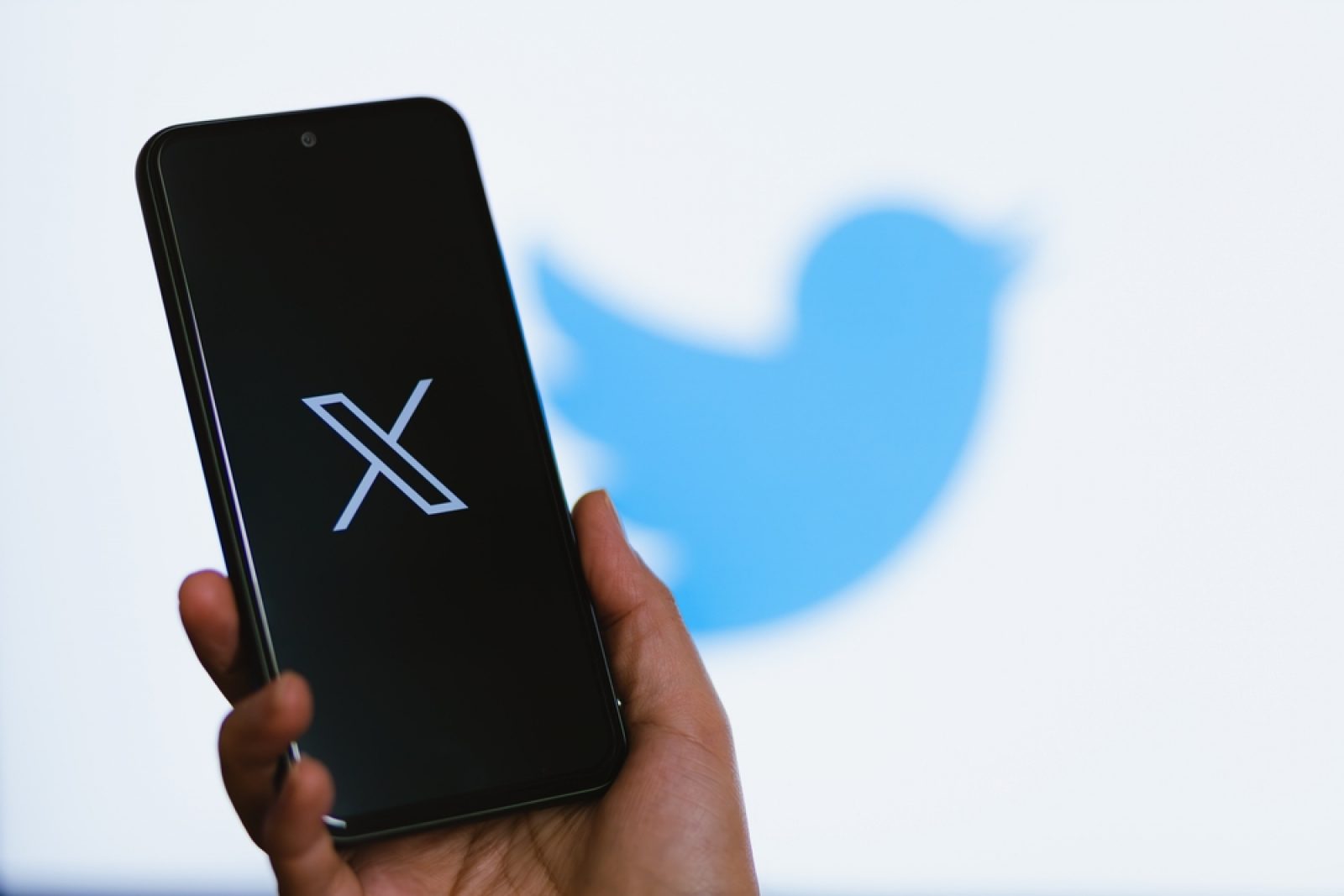 Twitter Faces $75 Million Ad Revenue Plunge Amidst Suspension Woes – Internal Docs Expose Struggle